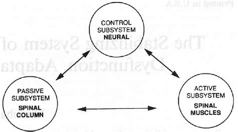 Figure From Age Related Differences In The Lumbopelvic Kinematics