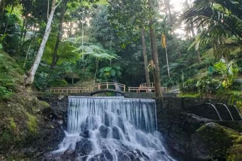 Keindahan Wisata Alam Di Curug Cipeuteuy Majalengka Yang Tiada Henti