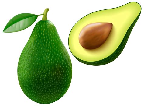 Free Transparent Avocado Download Free Transparent Avocado Png Images