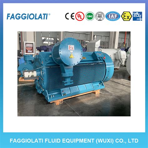 630kw High Voltage Explosion Proof Three Phase Asynchronous Motor Low