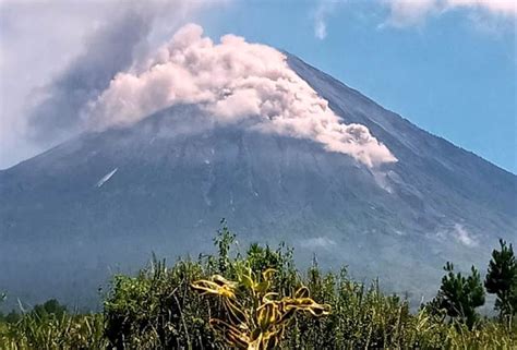 Gunung Semeru Erupsi Lagi Semburkan APG Sejauh 1 5 Kilometer