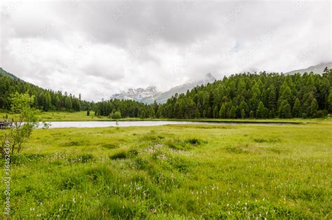 St Moritz Stazersee Bergsee Stazerwald Holzsteg Badesee