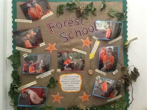 A Bulletin Board With Pictures And Writing On It That Says Forest