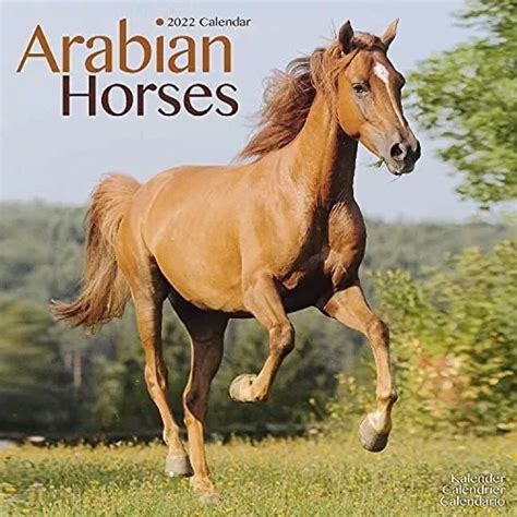 Libro Calendario De Caballos Árabes Calendarios 2021 2022 Cuotas Sin