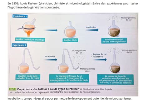 L Aide Des R Sultats De L Exp Rience R Alis E Par Pasteur Expliquer