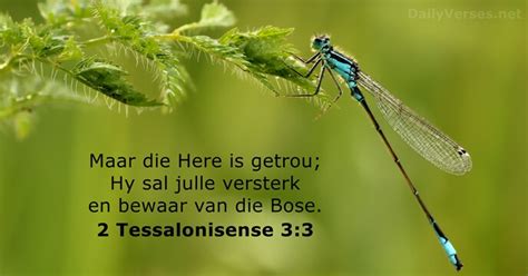 80 Bybelverse Oor Betroubaarheid DailyVerses Net