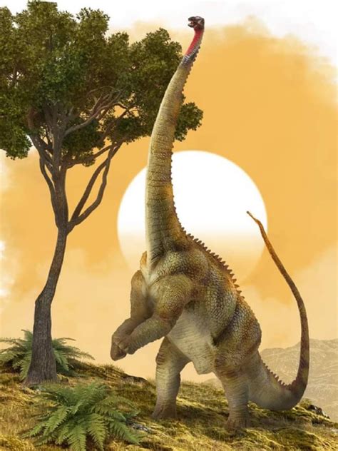 Diplodocus Dinossauro Diplodoco De Brinquedo Miniatura Boneco R Plica