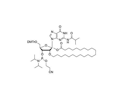 DMTr 2 O Methyl behenate rG iBu 3 CE Phosphoramidite 江苏申基生物科技有限公司