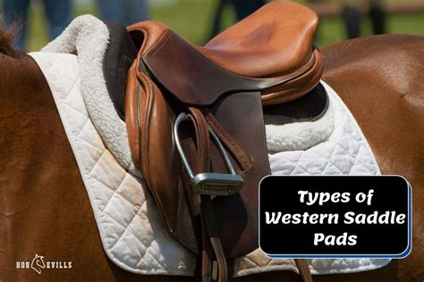 5 Types Of Western Saddle Pads Most Common And What You Need