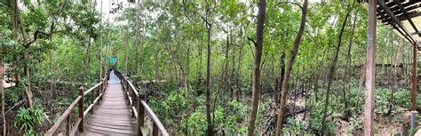 Best Attraction At Tanjung Piai Johor National Park