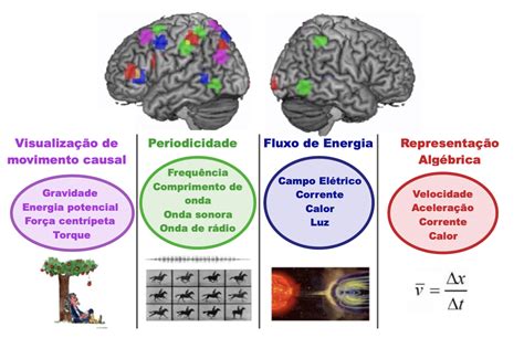 Neurociências em benefício da Educação O que é mesmo aprendizagem