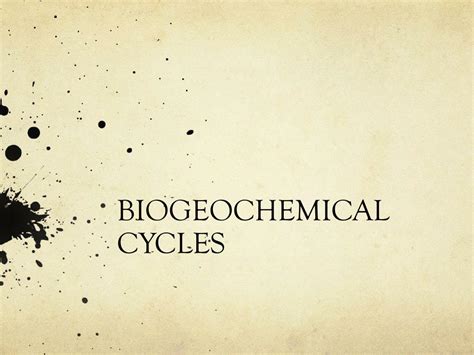 PPT - BIOGEOCHEMICAL CYCLES PowerPoint Presentation, free download - ID ... 