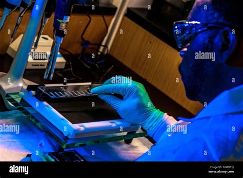 Preparing Bacterial Dna For Dna Fingerprinting Stock Photo Alamy