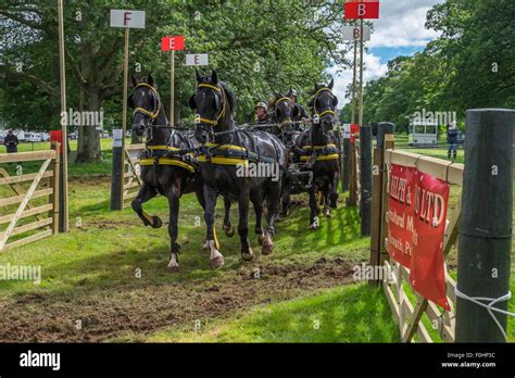 Carriage Driving Competition Stock Photo Alamy