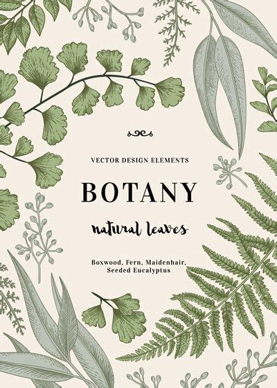 botany | Ботанические иллюстрации, Иллюстрации растений, Ботанические ...