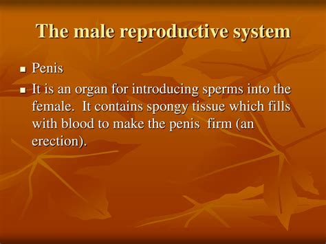 Ppt Sexual Reproduction In Human Beings Powerpoint Presentation Id