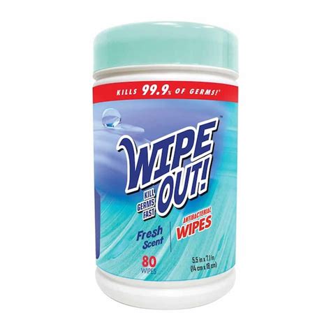 Wipe Out 80 Pack 80 Count Floral Hand Sanitizer Wipes In The Hand