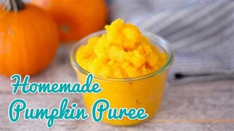 How To Make Homemade Pumpkin Puree Gemma S Bold Baking Basics Ep 24 Videos Bigger Bolder