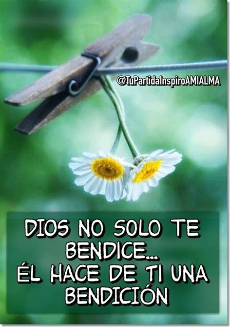 Dios No S Lo Te Bendice L Hace De Ti Una Bendici N Herbs Faith