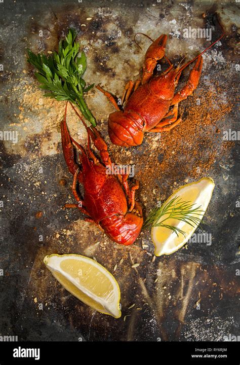 Rusty Crayfish Hi Res Stock Photography And Images Alamy