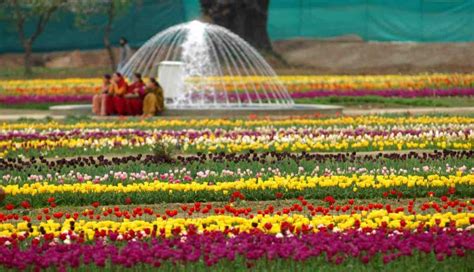 Gardens To Visit In Srinagar Kashmir