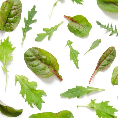 Folhas Verdes De Mistura De Salada No Fundo Branco Foto Premium