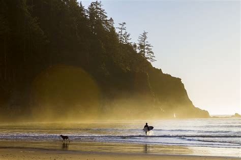 Escape To Cascadia Your Gateway To Oregons Wild Side