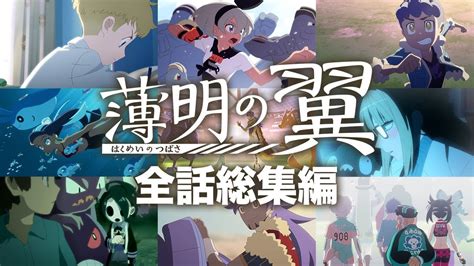 神託は光 【公式】『ポケットモンスター ソード・シールド』オリジナルアニメ「薄明の翼」 全話総集編