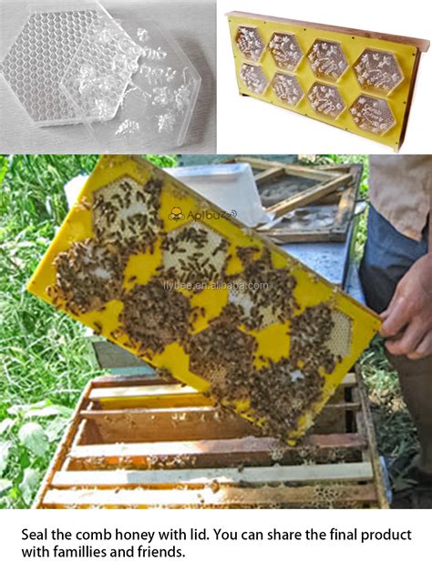 Hexagon Shaped Plastic Comb Honey Beehive Frames And Cassettes Set Honeycomb Box Beekeeping