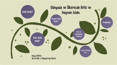 Dünyada ve Ülkemizde Bitki ve Hayvan Islahı by Beyza Güven on Prezi