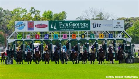 mardi gras stakes highlights fair grounds fat tuesday card paulick