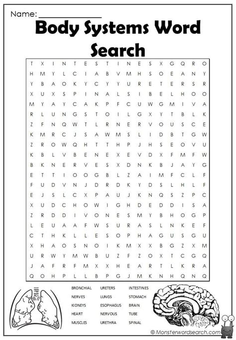 Body Systems Word Search Body Systems Worksheets Body Systems