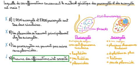 Vidéo question Distinguer le matériel génétique procaryote et