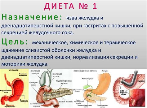 Язва Двенадцатиперстной Кишки Питание Диета — Похудение Диета ...