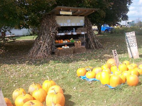 Backporch Produce Llc Localharvest