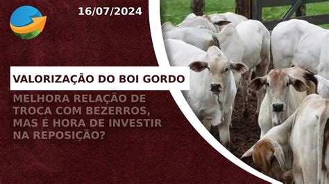 Valoriza O Do Boi Gordo Melhora Rela O De Troca Bezerros Mas