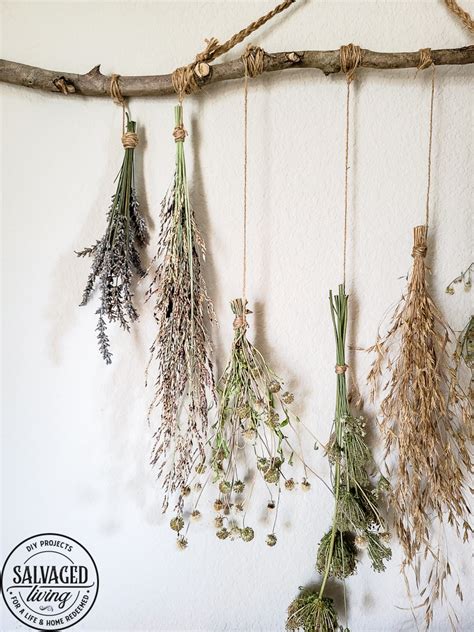 Dried Flower Wall Hanging - Salvaged Living