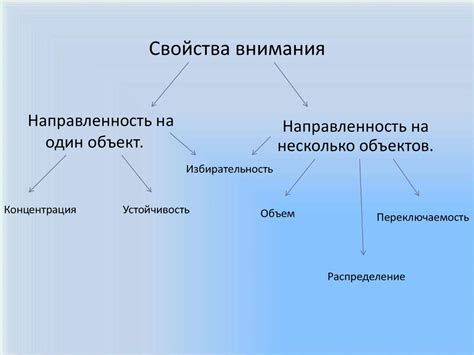 Внимание. Свойства и функции внимания - презентация онлайн