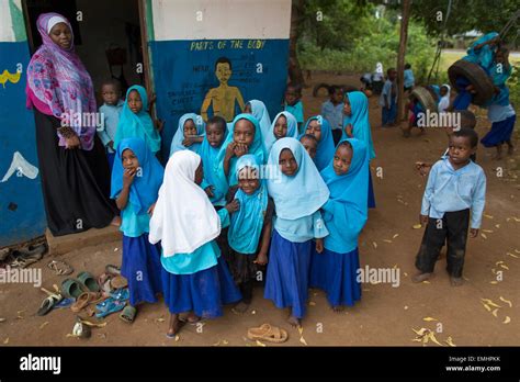 Primary School In Zanzibar Stock Photo Alamy