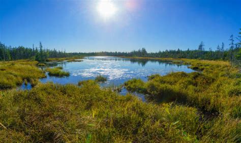 220 Fundy Trail Stock Photos Pictures And Royalty Free Images Istock