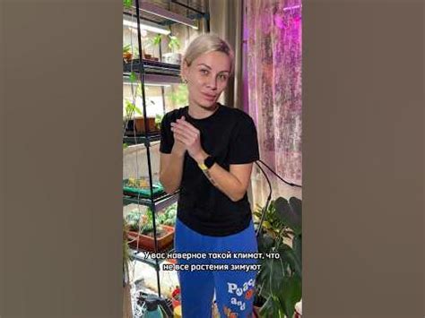 Что посадить в холодном климате! #агроном #дача #огород #озеленение # ...