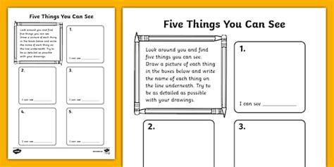 Five Things You Can See Activity Worksheet (teacher made)