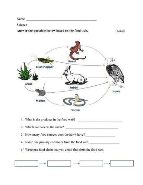 Free Printable Food Web Worksheet