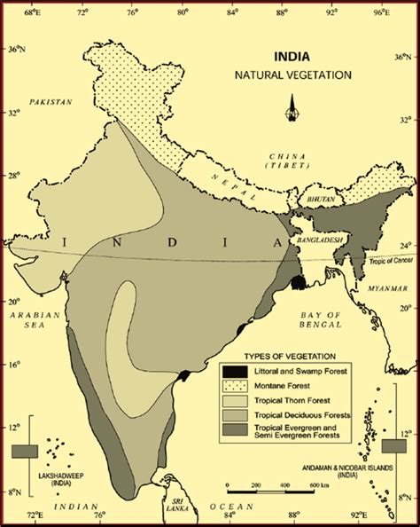 Natural Vegetation In India Ncert Notes Upsc