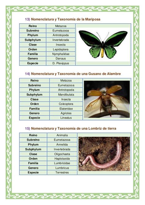 La Taxonomia Biologia 903 Carvajalino Garcia