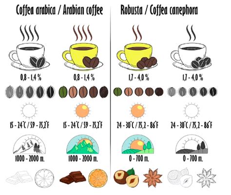 How Many Scoops Of Coffee For 12 Cups A Completely Amazing Guide For