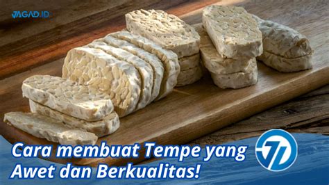 Cara Membuat Tempe Yang Awet Dan Berkualitas JAGAD ID