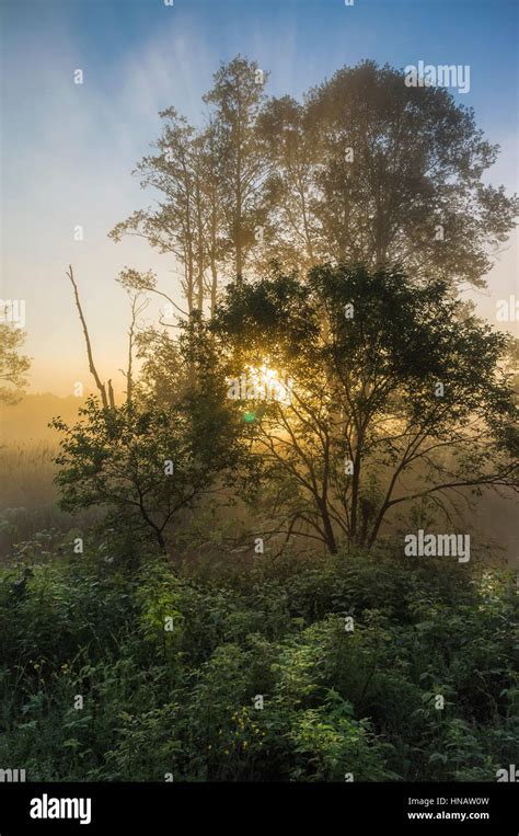 Beautiful Misty Dawn At The Small River Stock Photo Alamy