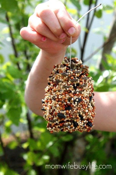 How To Make A Pinecone Bird Feeder Mom Wife Busy Life Pinecone