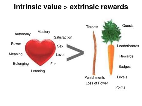 Intrinsic Value Extrinsic Rewards